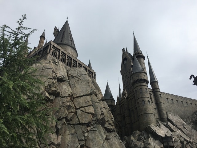 IMG_3502.jpg - 2017年日本學術旅遊行（2017.6.29-7.5）