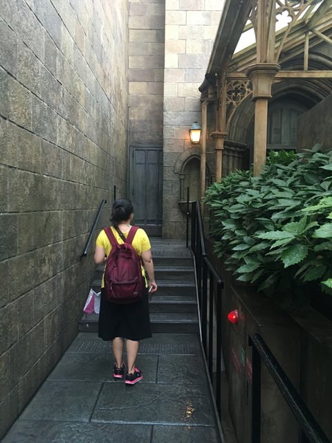 IMG_3733.jpg - 2017年日本學術旅遊行（2017.6.29-7.5）