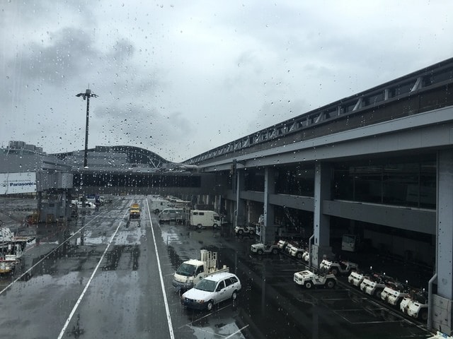 IMG_3881.jpg - 2017年日本學術旅遊行（2017.6.29-7.5）