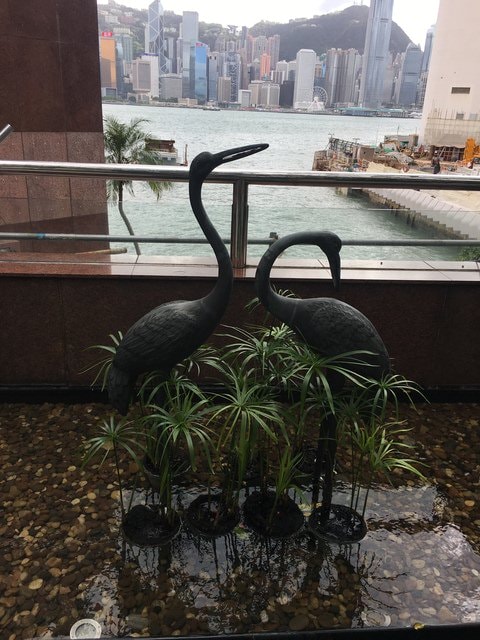 IMG_5353.JPG - 2017年香港行（2017.9.22-25）