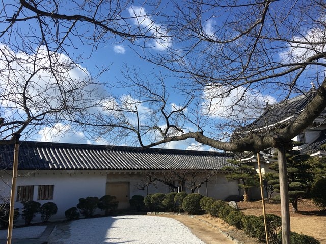 IMG_8535.JPG - 2018冬日本公務旅遊(2018.1.26-2.5)