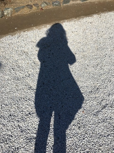 IMG_8532.JPG - 2018冬日本公務旅遊(2018.1.26-2.5)