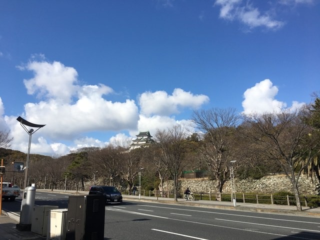 IMG_8539.JPG - 2018冬日本公務旅遊(2018.1.26-2.5)