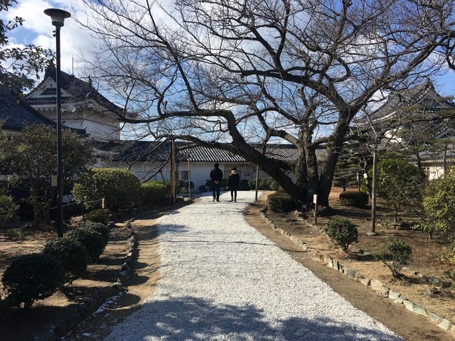 IMG_8531.JPG - 2018冬日本公務旅遊(2018.1.26-2.5)