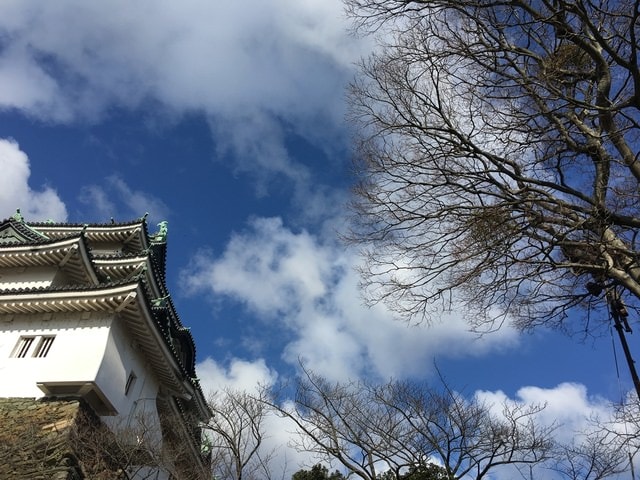IMG_8432.JPG - 2018冬日本公務旅遊(2018.1.26-2.5)