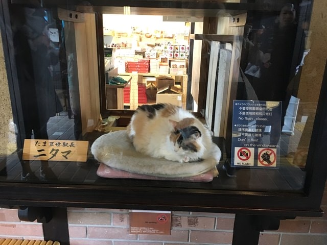IMG_8601.JPG - 2018冬日本公務旅遊(2018.1.26-2.5)