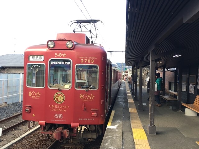IMG_8641.JPG - 2018冬日本公務旅遊(2018.1.26-2.5)