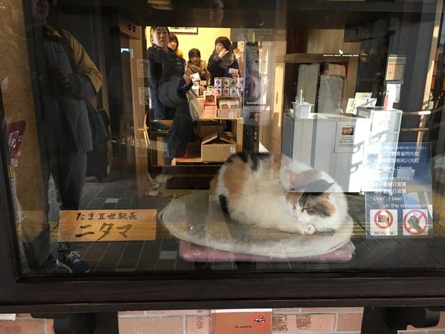 IMG_8636.JPG - 2018冬日本公務旅遊(2018.1.26-2.5)