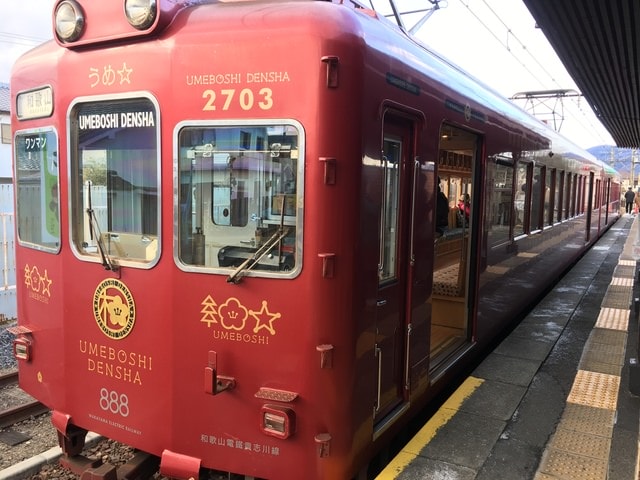 IMG_8640.JPG - 2018冬日本公務旅遊(2018.1.26-2.5)