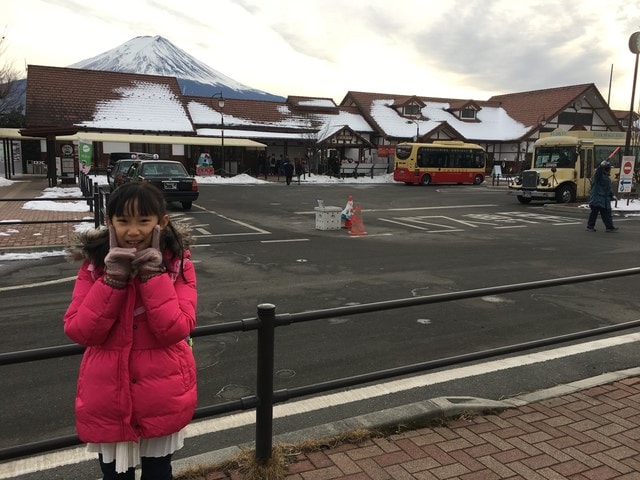 IMG_9309.JPG - 2018冬日本公務旅遊(2018.1.26-2.5)