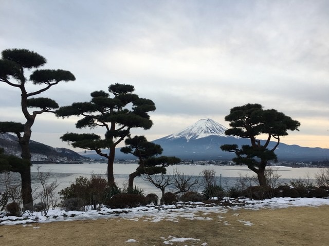 IMG_9345.JPG - 2018冬日本公務旅遊(2018.1.26-2.5)