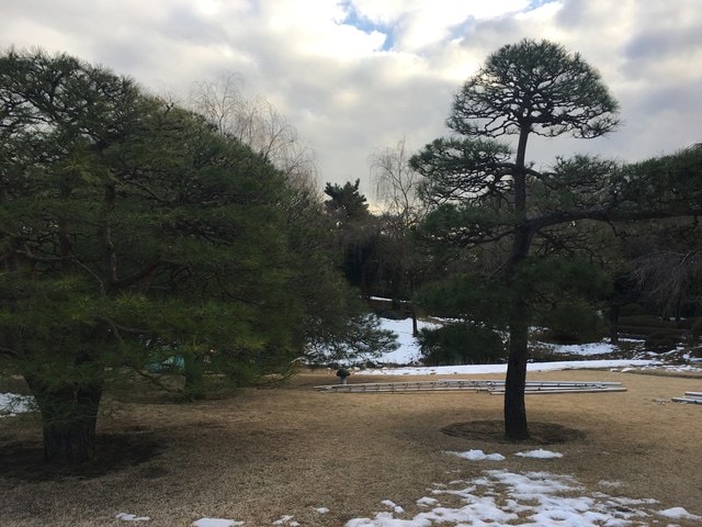 IMG_8931.JPG - 2018冬日本公務旅遊(2018.1.26-2.5)