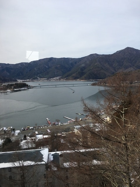 IMG_9171.JPG - 2018冬日本公務旅遊(2018.1.26-2.5)