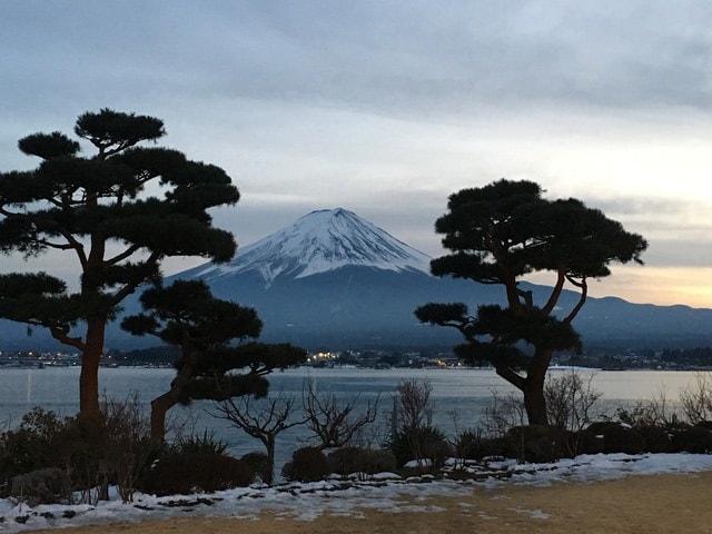 IMG_9449.JPG - 2018冬日本公務旅遊(2018.1.26-2.5)