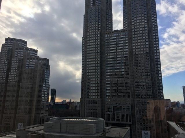 IMG_8875.JPG - 2018冬日本公務旅遊(2018.1.26-2.5)