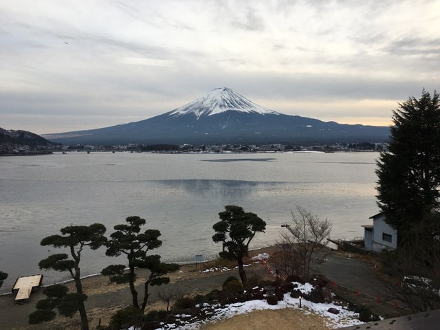 IMG_9327.JPG - 2018冬日本公務旅遊(2018.1.26-2.5)