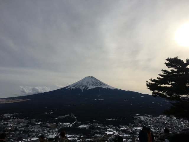IMG_9267.JPG - 2018冬日本公務旅遊(2018.1.26-2.5)
