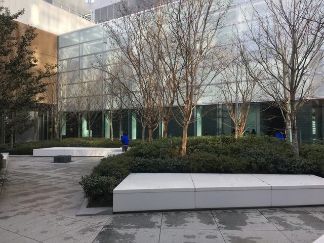 IMG_8811.JPG - 2018冬日本公務旅遊(2018.1.26-2.5)