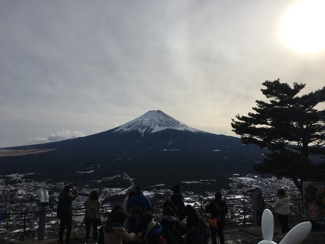 IMG_9187.JPG - 2018冬日本公務旅遊(2018.1.26-2.5)