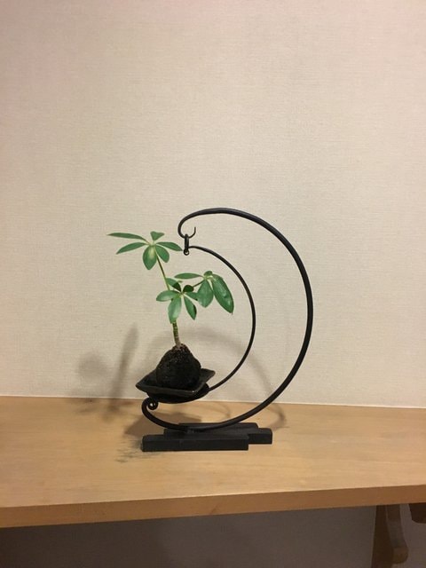 IMG_9513.JPG - 2018冬日本公務旅遊(2018.1.26-2.5)