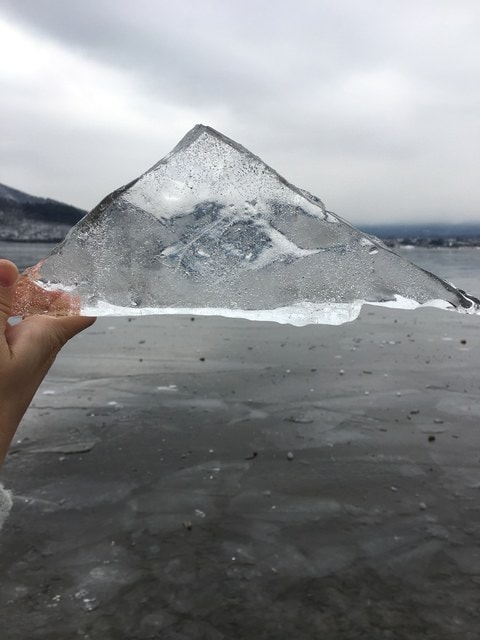 IMG_9519.JPG - 2018冬日本公務旅遊(2018.1.26-2.5)