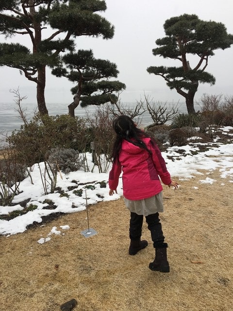 IMG_9738.JPG - 2018冬日本公務旅遊(2018.1.26-2.5)