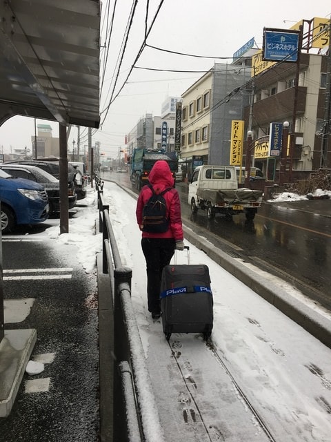 IMG_9781.JPG - 2018冬日本公務旅遊(2018.1.26-2.5)