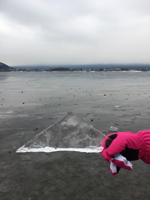IMG_9520.JPG - 2018冬日本公務旅遊(2018.1.26-2.5)