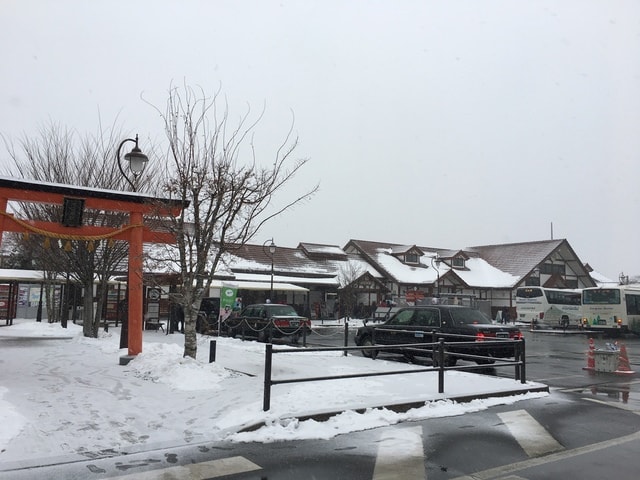 IMG_9784.JPG - 2018冬日本公務旅遊(2018.1.26-2.5)