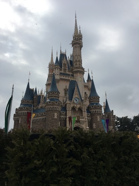 IMG_9907.JPG - 2018冬日本公務旅遊(2018.1.26-2.5)