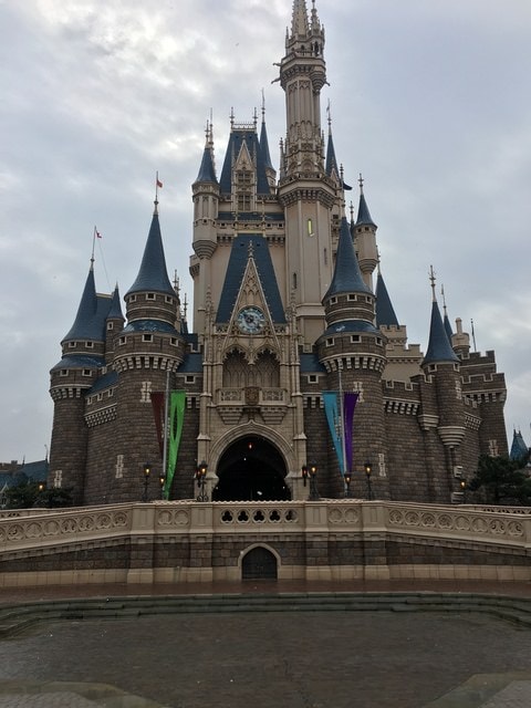 IMG_9910.JPG - 2018冬日本公務旅遊(2018.1.26-2.5)