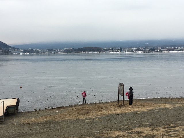 IMG_9514.JPG - 2018冬日本公務旅遊(2018.1.26-2.5)