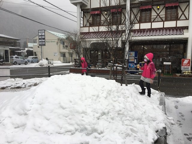 IMG_9780.JPG - 2018冬日本公務旅遊(2018.1.26-2.5)