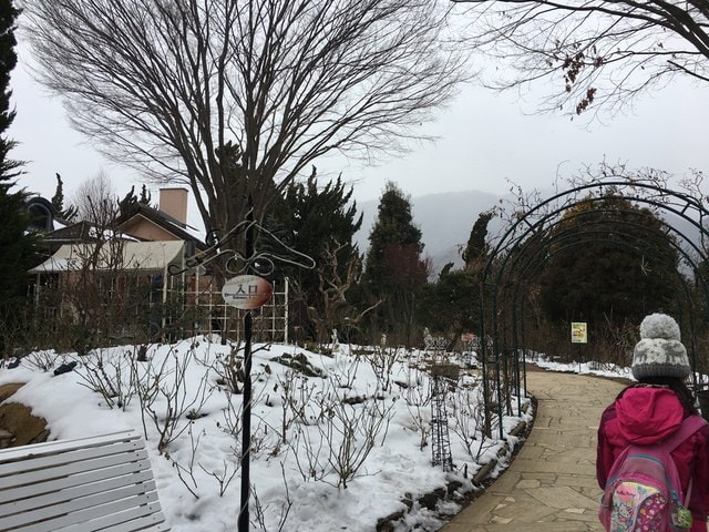 IMG_9591.JPG - 2018冬日本公務旅遊(2018.1.26-2.5)