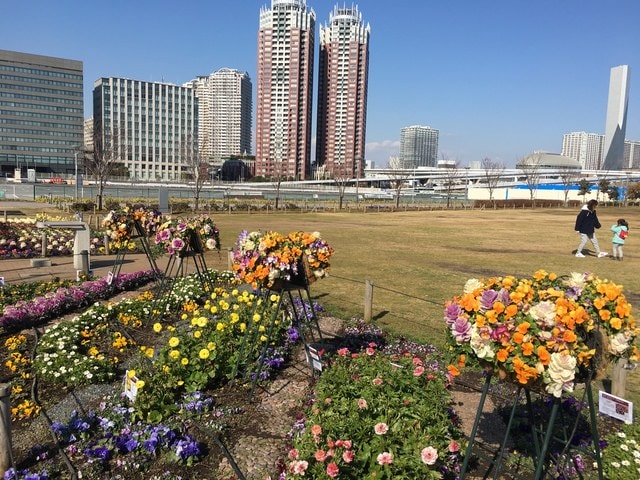 IMG_0550.JPG - 2018冬日本公務旅遊(2018.1.26-2.5)