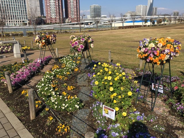 IMG_0545.JPG - 2018冬日本公務旅遊(2018.1.26-2.5)