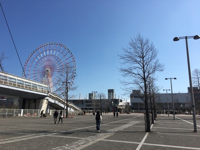 IMG_0529.JPG - 2018冬日本公務旅遊(2018.1.26-2.5)