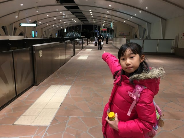 IMG_0659.JPG - 2018冬日本公務旅遊(2018.1.26-2.5)