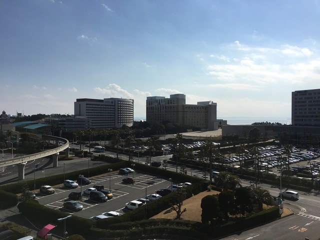 IMG_0505.JPG - 2018冬日本公務旅遊(2018.1.26-2.5)