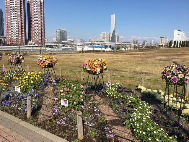 IMG_0534.JPG - 2018冬日本公務旅遊(2018.1.26-2.5)
