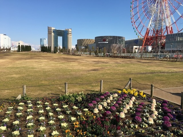 IMG_0541.JPG - 2018冬日本公務旅遊(2018.1.26-2.5)