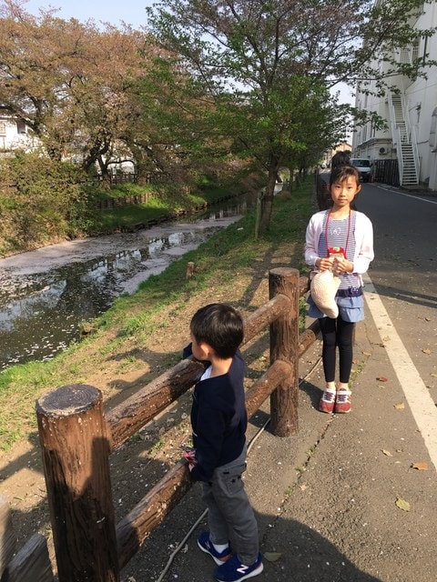 IMG_2197.JPG - 2018.4.4-4.16 日本行