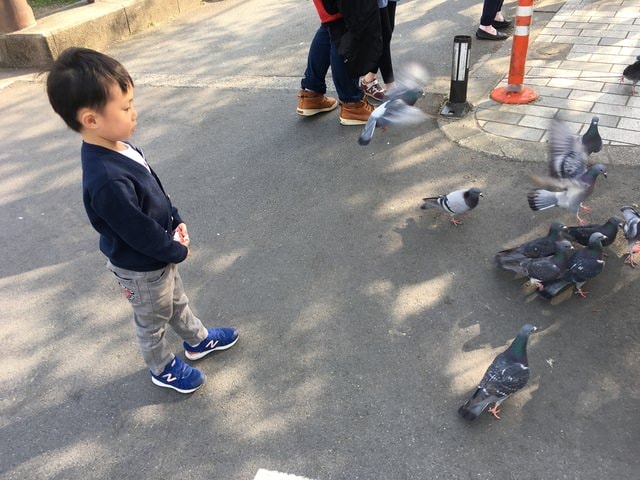 IMG_2203.JPG - 2018.4.4-4.16 日本行