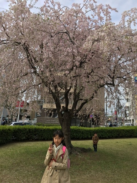IMG_2243.JPG - 2018.4.4-4.16 日本行