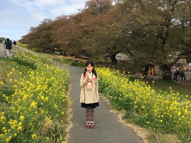 IMG_2292.JPG - 2018.4.4-4.16 日本行