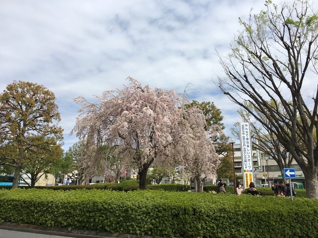 IMG_2264.JPG - 2018.4.4-4.16 日本行