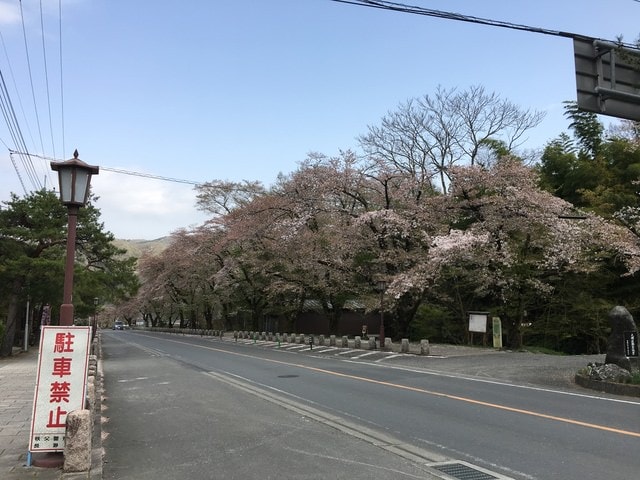IMG_2426.JPG - 2018.4.4-4.16 日本行