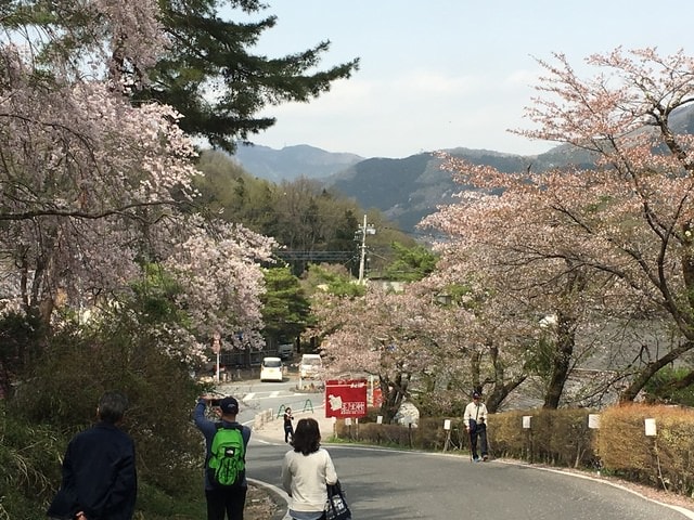 IMG_2431.JPG - 2018.4.4-4.16 日本行