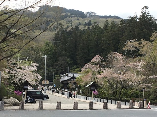 IMG_2427.JPG - 2018.4.4-4.16 日本行