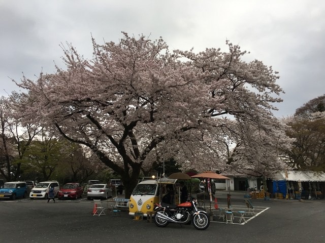 IMG_2477.JPG - 2018.4.4-4.16 日本行